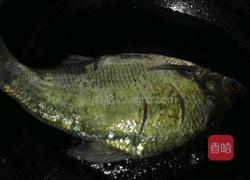 红烧罗非鱼的做法图解2