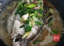 红烧罗非鱼的做法图解5