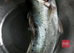 清蒸鱼的做法图解1