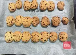 Cranberry Cookie Recipe Illustration 12