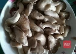 鸡腿炖蘑菇的做法图解2