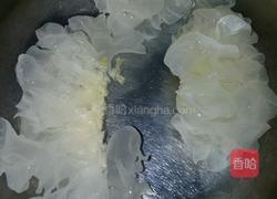 白灼雪耳的做法图解1