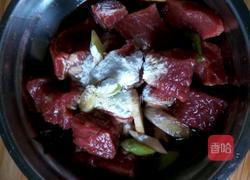 炖牛肉的做法图解7