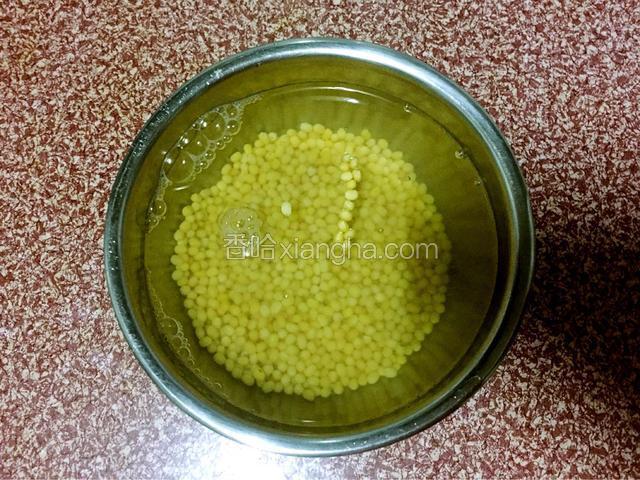 去皮绿豆加水泡一夜