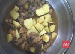 鸡骨架炖土豆的做法图解8