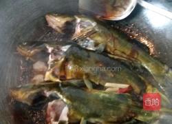 黄骨鱼红烧的做法图解3