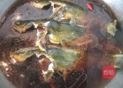 黄骨鱼红烧的做法图解4
