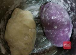 双色蕃薯饺的做法图解2