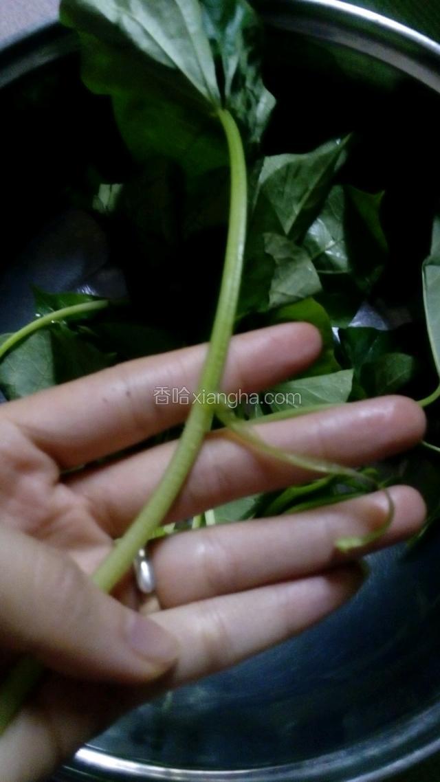 地瓜叶摘好，撕去皮，较嫩的就不用，都摘好去好皮后洗干净