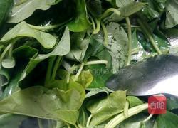 蒜蓉炒地瓜叶的做法图解5