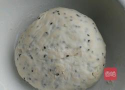 黑芝麻发面馒头的做法图解5