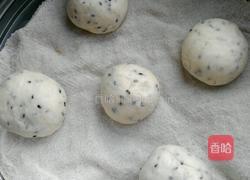 黑芝麻发面馒头的做法图解9