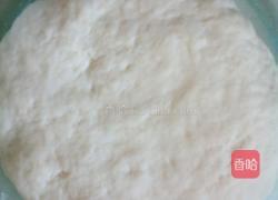 青椒肉饼的做法图解1