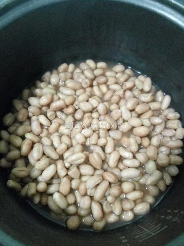 花生米煮好晾凉。