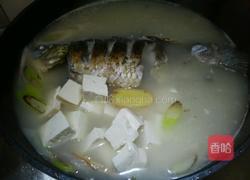 鲫鱼豆腐汤的做法图解4