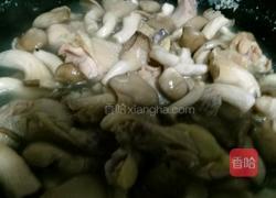 鸡腿炖蘑菇的做法图解3