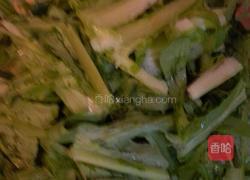 甜苦麦菜的做法图解2