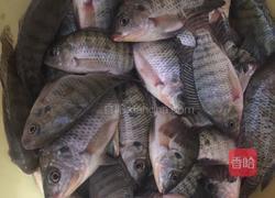 极品香酥鱼的做法图解1