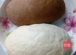 猫耳朵的做法图解3