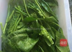 三色水饺的做法图解2