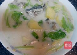 鱼头土豆养生汤的做法图解9