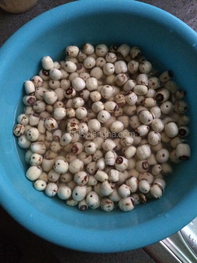 备好莲子淘洗干净，用清水泡5小时以上。如果是夏天放冰箱里里。