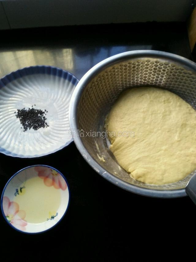 调和好的面团过15分钟后即可，准备好芝麻和油。