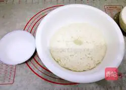 水煎包的做法图解5