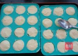 乳酪球的做法图解15