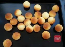 乳酪球的做法图解17