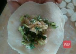 香菜猪肉饺子的做法图解7