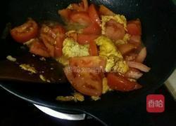 木须柿子的做法图解5