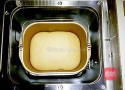 全麥芝麻包的做法图解3