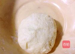 苹果玫瑰花的做法图解9