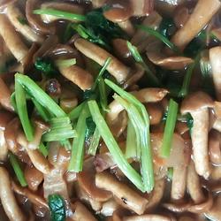 腊肉炒滑子菇的做法[图]