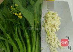 蒜蓉油菜花的做法图解1