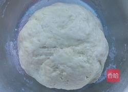 双色吐司的做法图解4