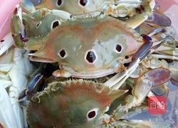 生腌螃蟹（三眼蟹）的做法图解1