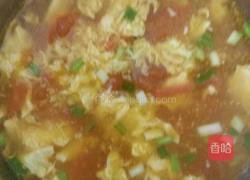 番茄蛋汤的做法图解7