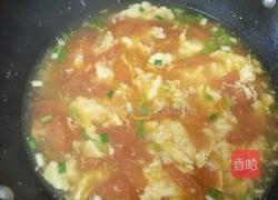 番茄蛋汤的做法图解6