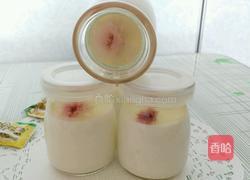 樱花布丁的做法图解7