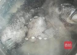 清蒸海参斑鱼的做法图解1