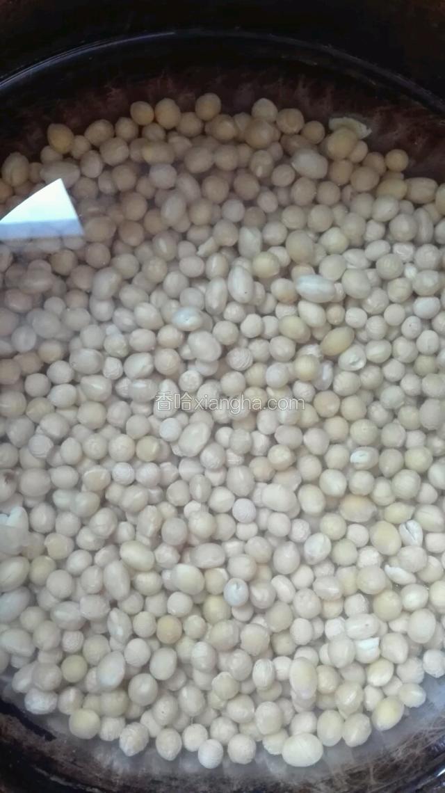 黄豆泡好后，放于锅中，煮约30分钟。