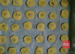 蔓越莓酥饼的做法图解16