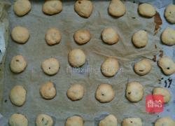 蔓越莓酥饼的做法图解18