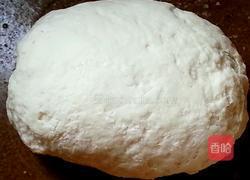 白菜(百财)饺子的做法图解5