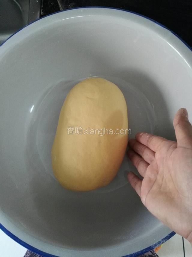 和好的饺子面，和面要求三光：盆光，面光，手光