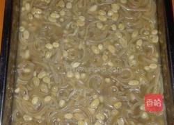 花生猪皮冻的做法图解15