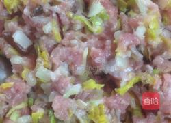 香菇白菜饺的做法图解11