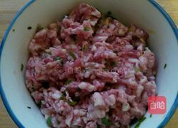 荠菜虾仁饺的做法图解4